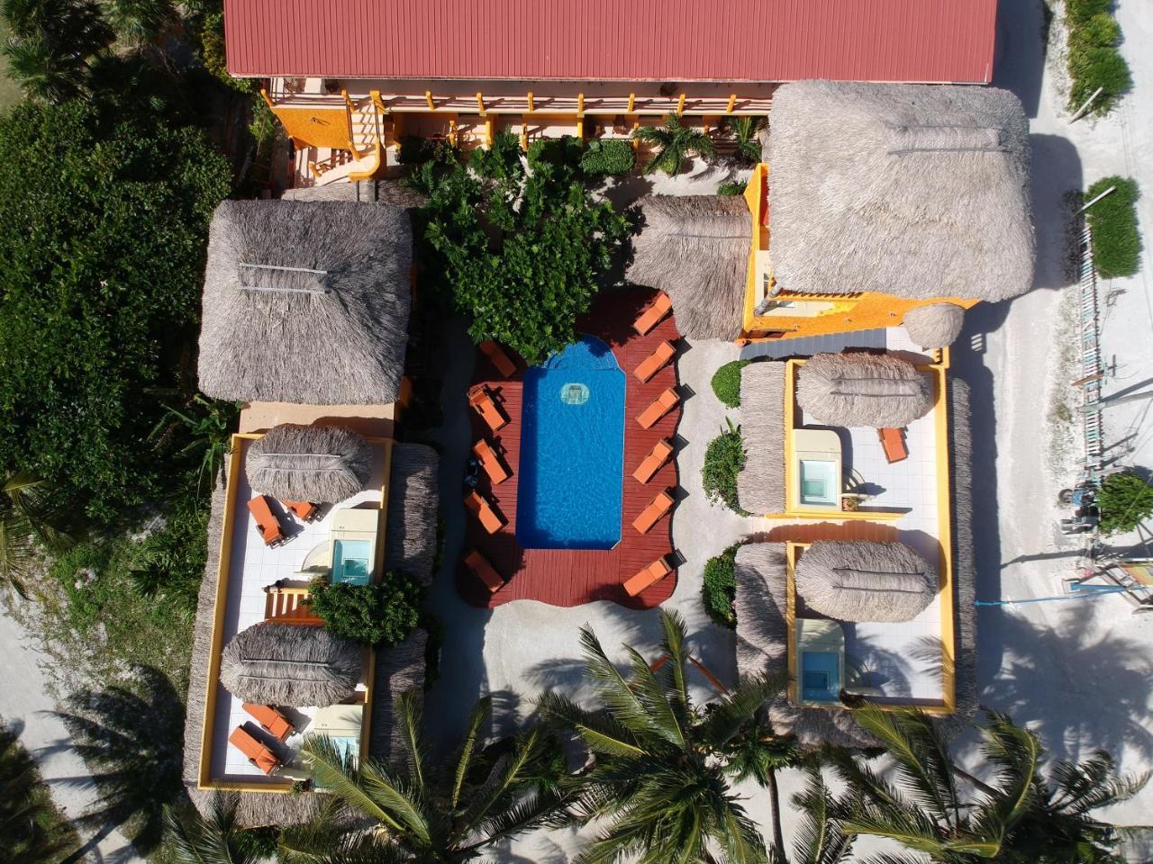 Seaside Cabanas Hotel Caye Corker エクステリア 写真